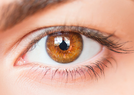 Estetica ocular